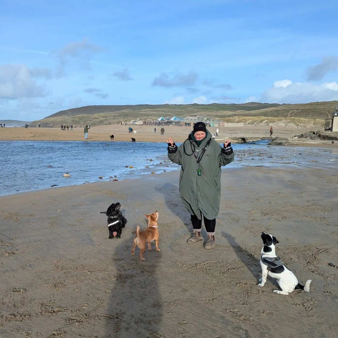 A photograph of Lee on the beach with three dogs sitting on the sand looking at her attentively.